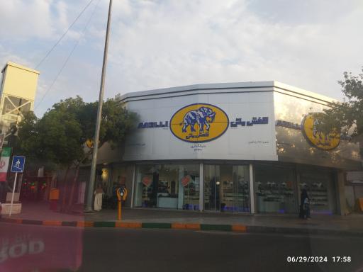 عکس کفش ملی