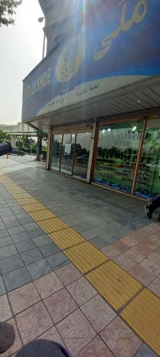 عکس کفش ملی