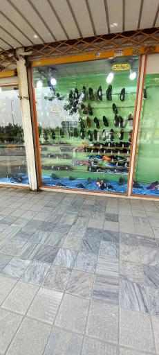 عکس کفش ملی