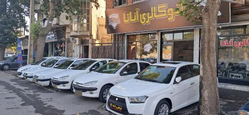 عکس اتو گالری آناتا