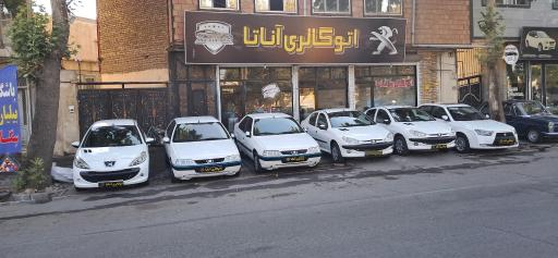 عکس اتو گالری آناتا