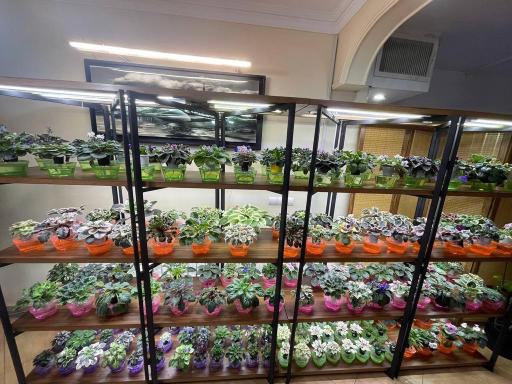 گلخانه دانژه