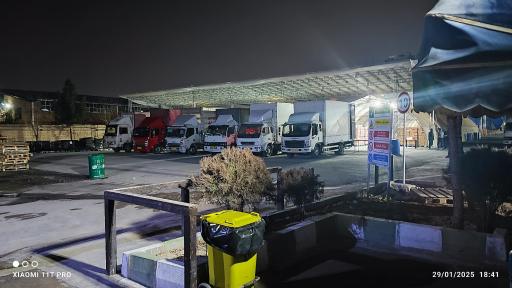 عکس گندم طلایی نوتریکا (پچ پچ)