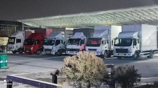 عکس گندم طلایی نوتریکا (پچ پچ)