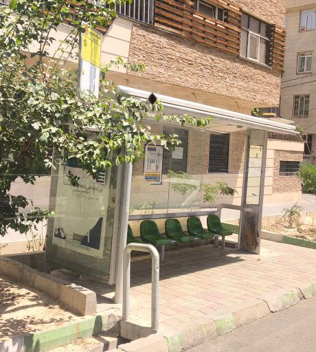 عکس فروزانفر