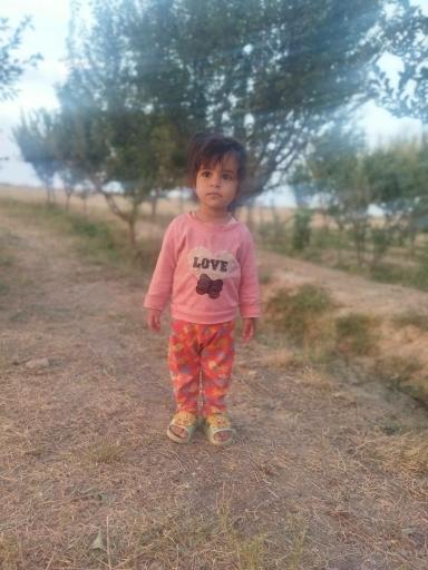 عکس باغ نیکا ‌