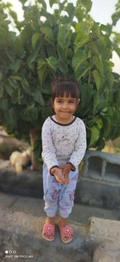 عکس باغ نیکا ‌