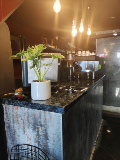 عکس کافه رستوران آگورا