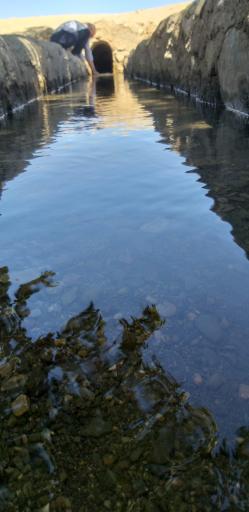 عکس قنات باغشن