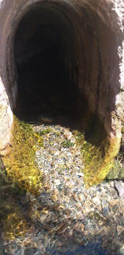 عکس قنات باغشن