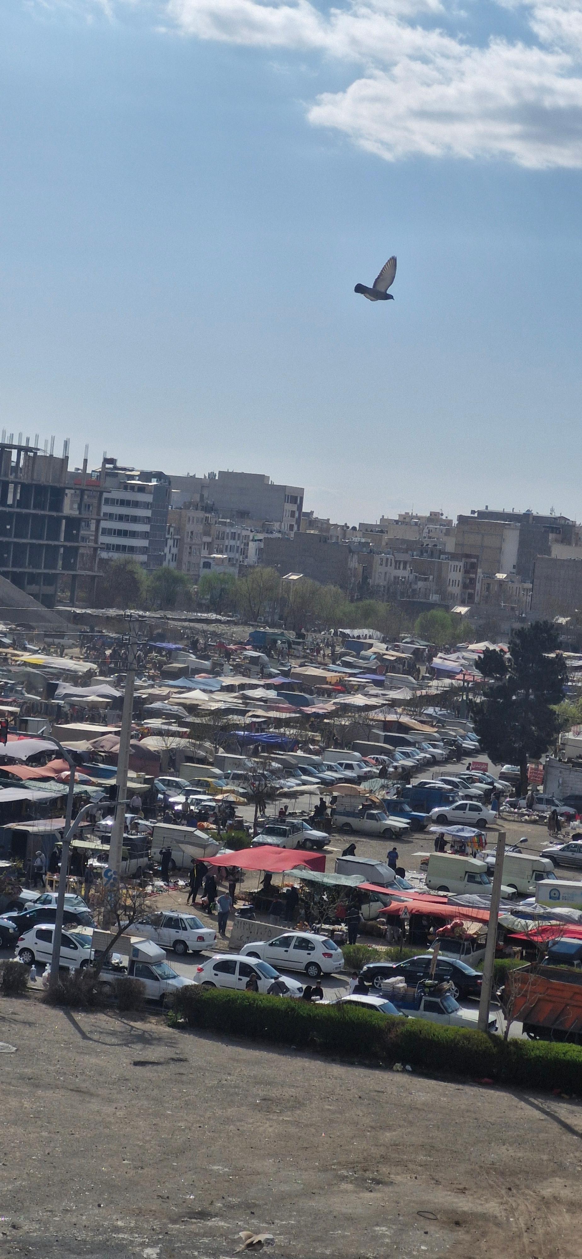 عکس سه شنبه بازار