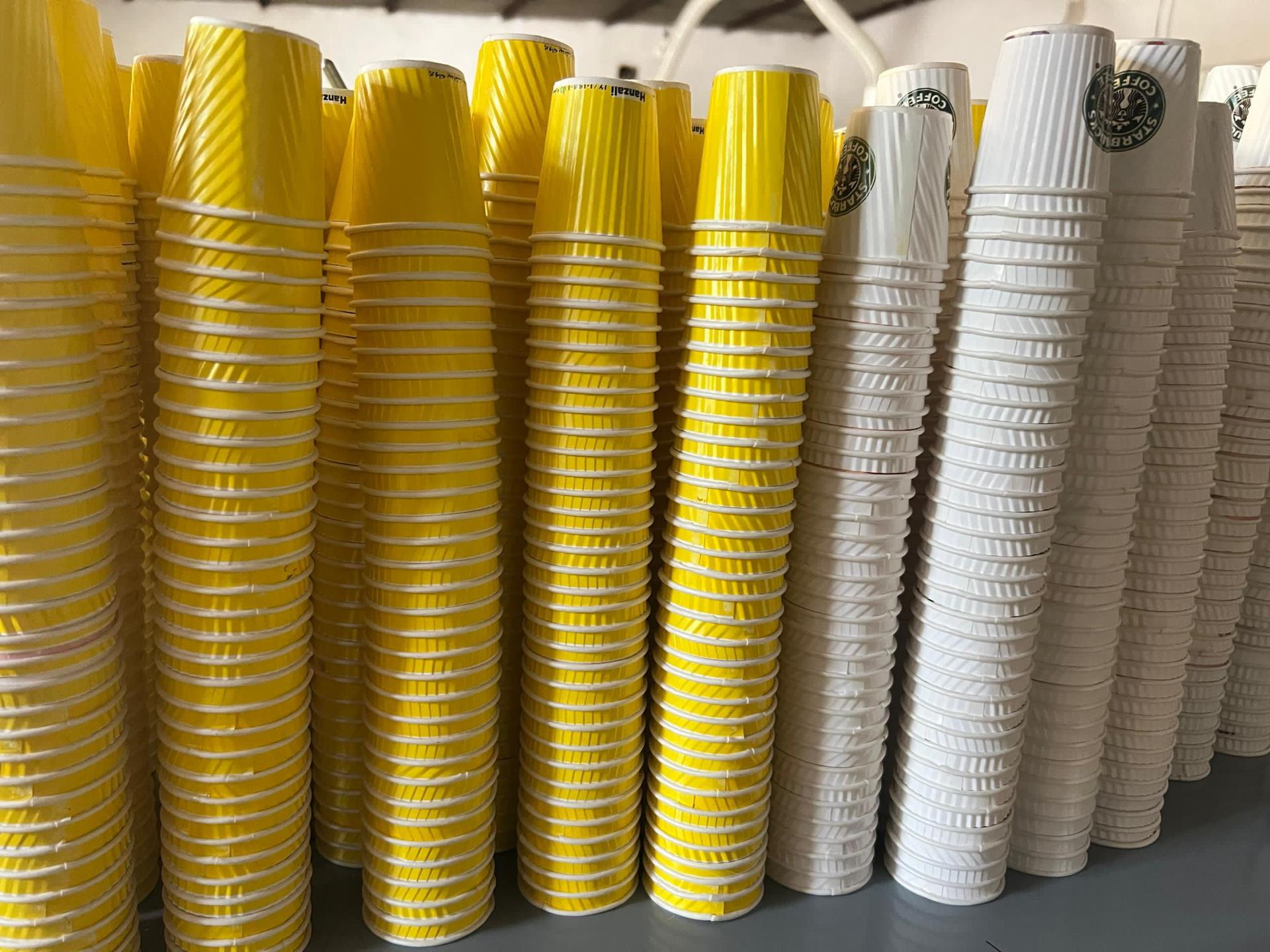 عکس تولید لیوان کاغذی ساحل جنوب