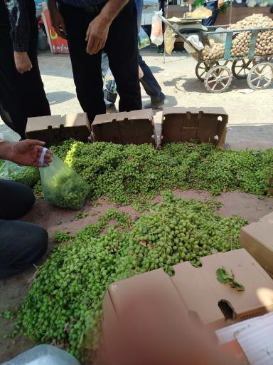 عکس سه شنبه بازار