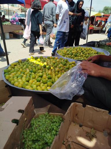 عکس سه شنبه بازار