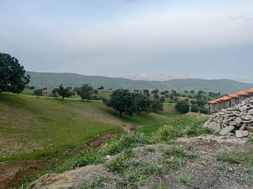 عکس دهدز