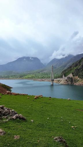 عکس دهدز
