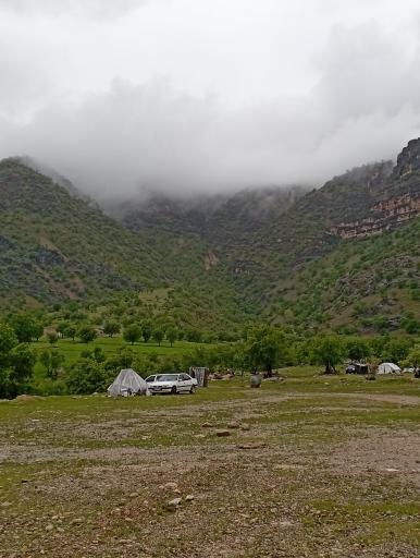 عکس دهدز