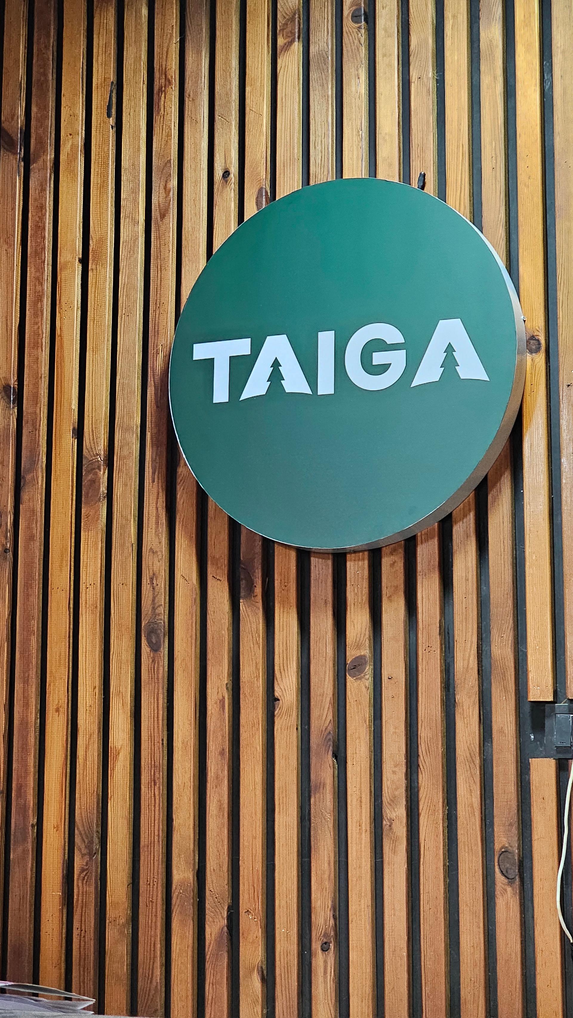 عکس تایگا چوب