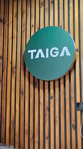 عکس تایگا چوب