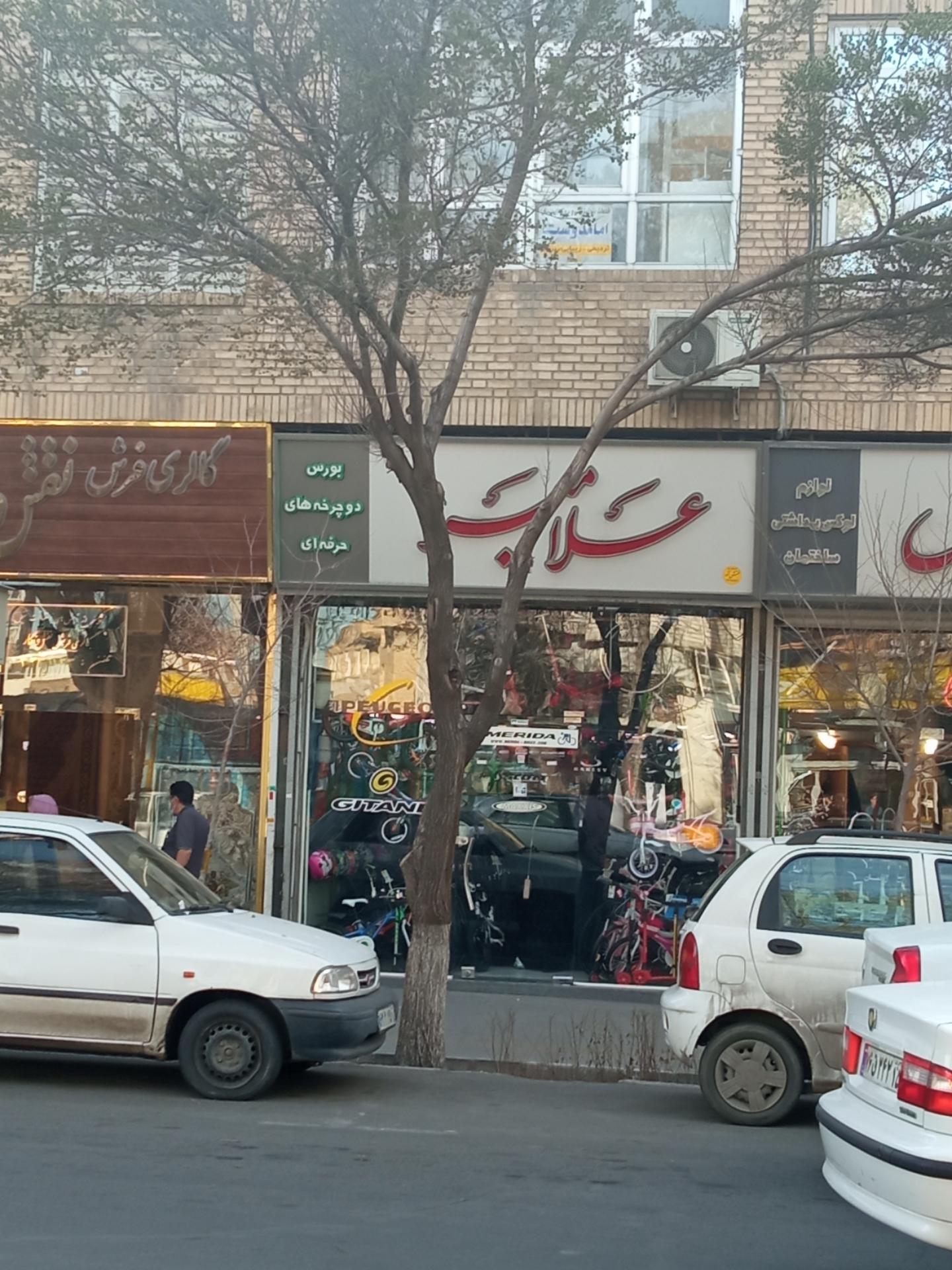 عکس بازرگانی علامیر