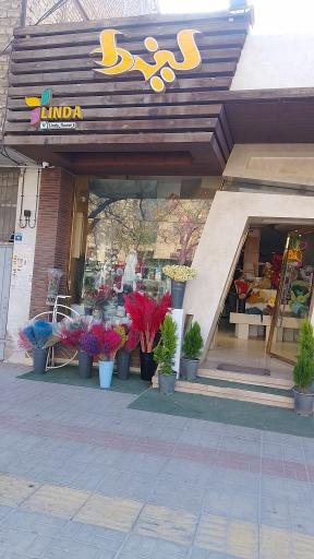 عکس گل لیندا