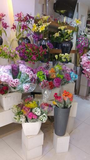 عکس گل لیندا