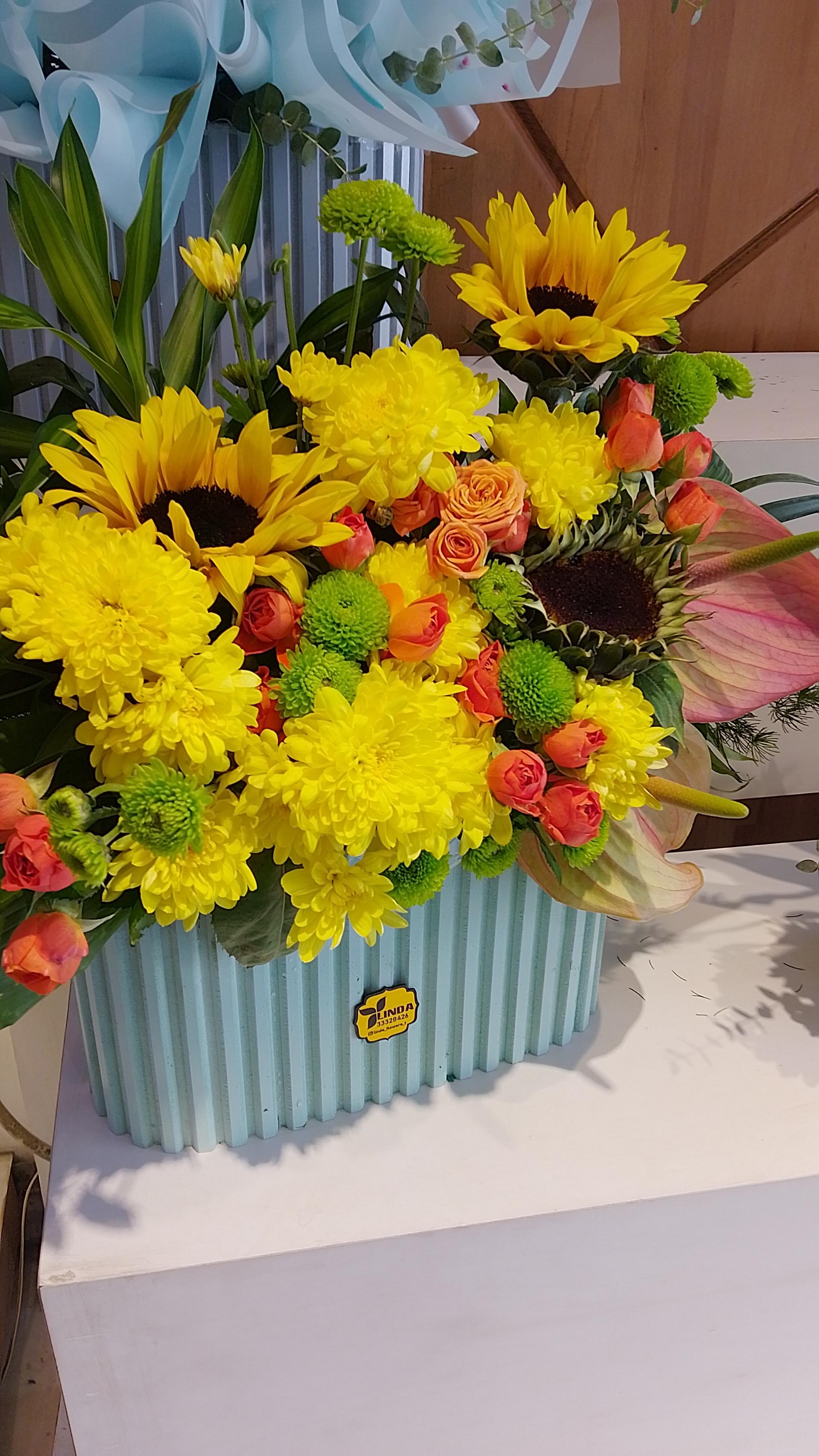 عکس گل لیندا