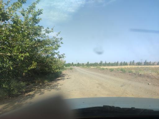 عکس سن سن
