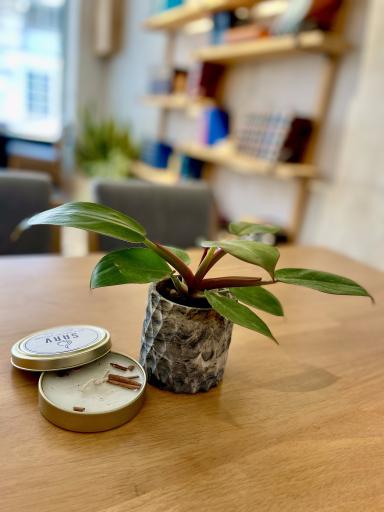 کافه مهرگان