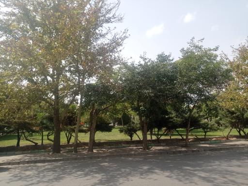 عکس بوستان رز