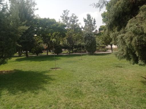 عکس بوستان رز