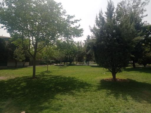 عکس بوستان رز