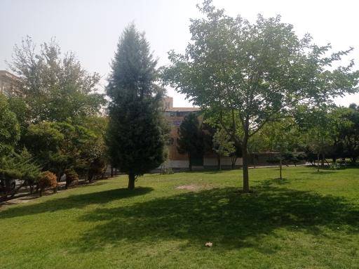 عکس بوستان رز