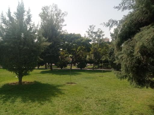 عکس بوستان رز