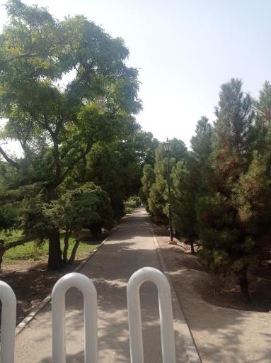 عکس بوستان رز