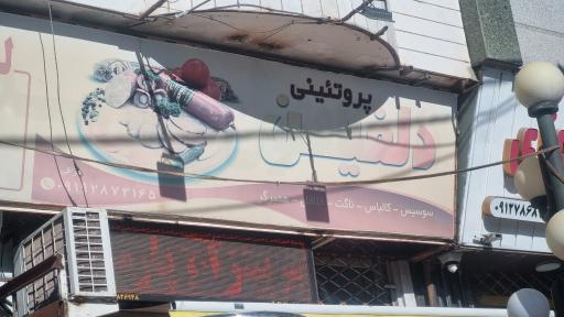 عکس پروتئینی دلفین