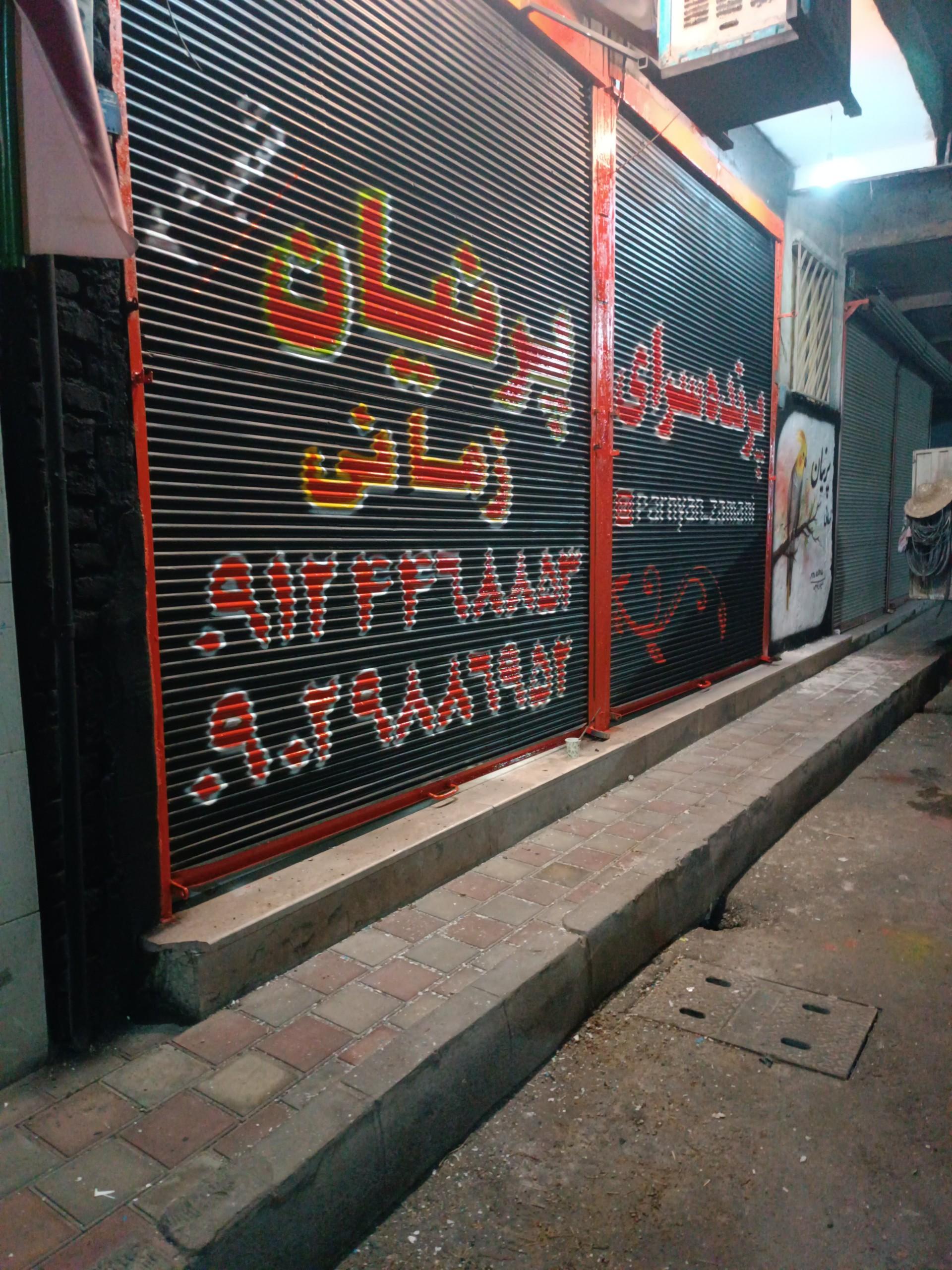 عکس پرنده فروشی