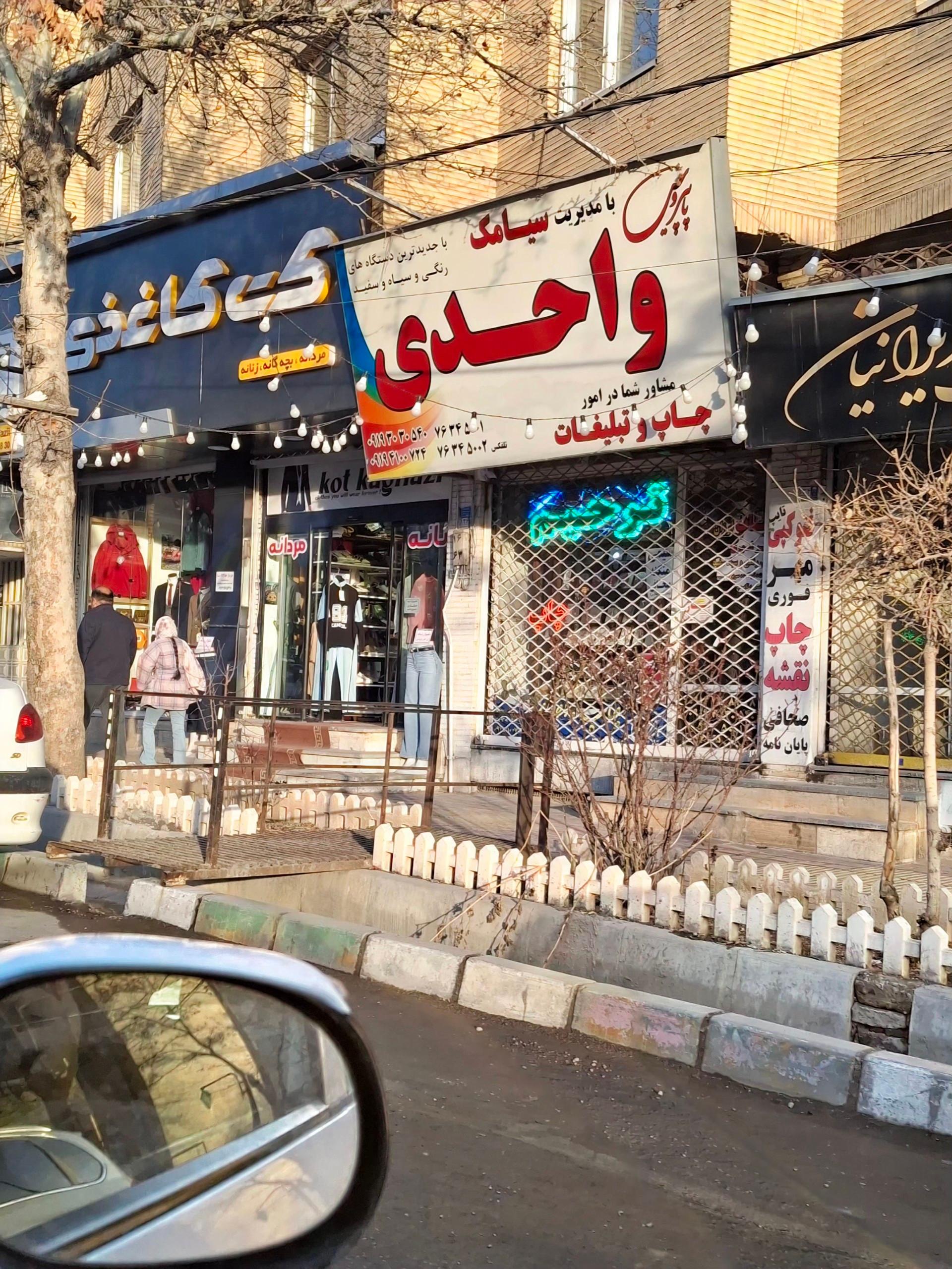 عکس پاپیروس
