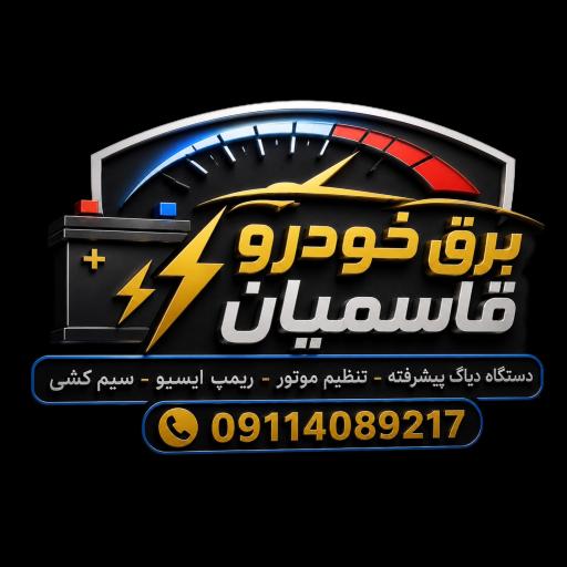 عکس برق خودرو قاسمیان