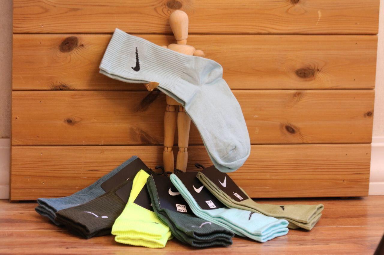 عکس تولید و پخش رضایی