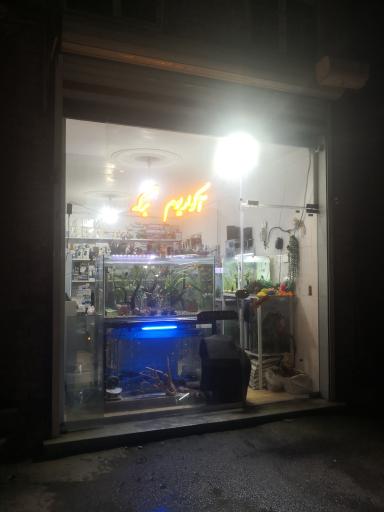 عکس آکواریوم برکه