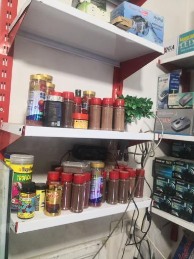 آکواریوم برکه