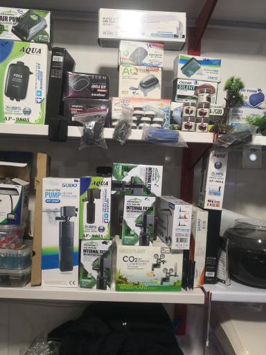 عکس آکواریوم برکه