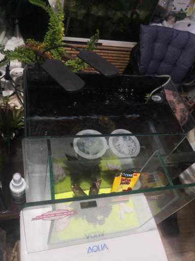 آکواریوم برکه