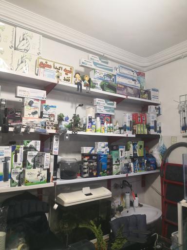 عکس آکواریوم برکه