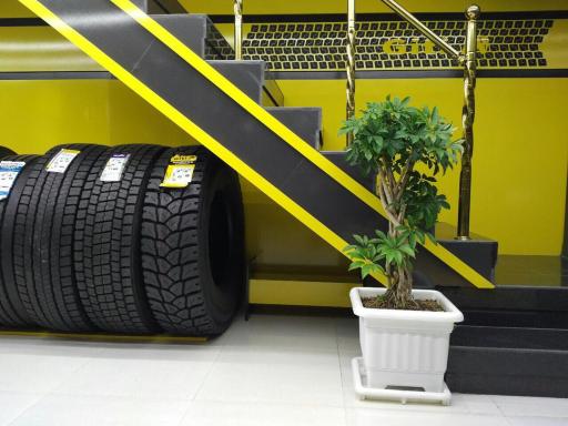 عکس بنگاه لاستیک سلیمانی