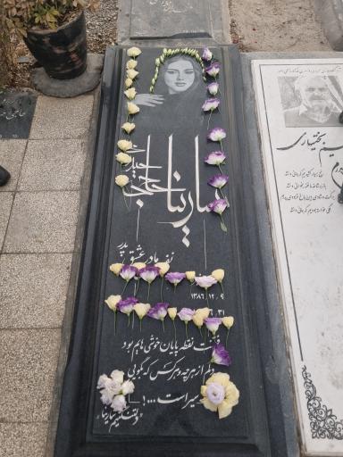 عکس قطعه 250