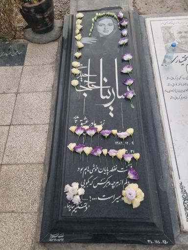 عکس قطعه 250