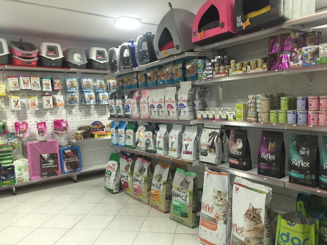 عکس کلینیک و پت شاپ دامپزشکی پتی مان