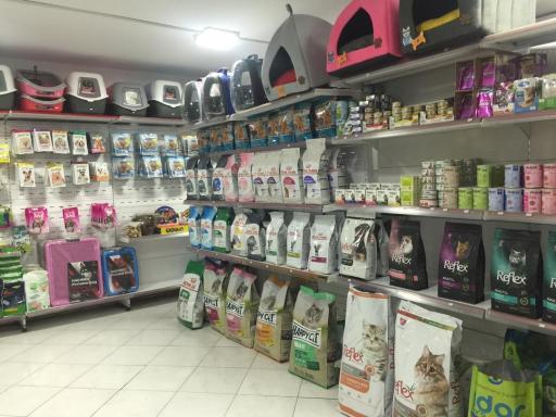 عکس کلینیک و پت شاپ دامپزشکی پتی مان